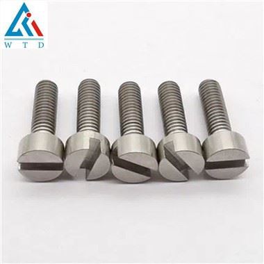 Titanium sleufkopschroef