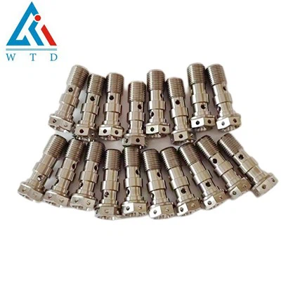 M10 titanium dubbele banjobouten