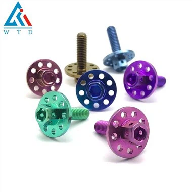 Titanium kentekenplaatschroeven