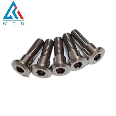 Titanium remschijfbouten